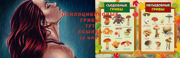 кокаин Верея
